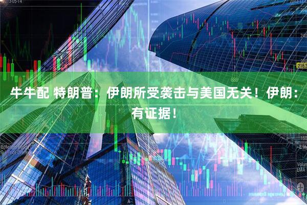 牛牛配 特朗普：伊朗所受袭击与美国无关！伊朗：有证据！
