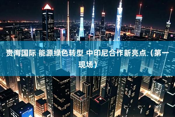 贵海国际 能源绿色转型 中印尼合作新亮点（第一现场）