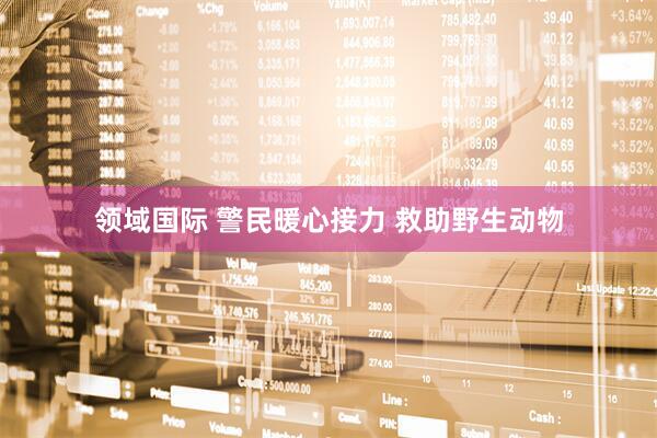 领域国际 警民暖心接力 救助野生动物