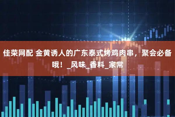 佳荣网配 金黄诱人的广东泰式烤鸡肉串，聚会必备哦！_风味_香料_家常