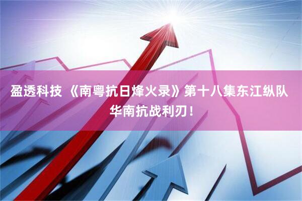 盈透科技 《南粤抗日烽火录》第十八集东江纵队 华南抗战利刃！