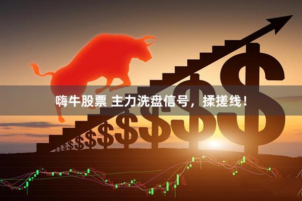 嗨牛股票 主力洗盘信号，揉搓线！